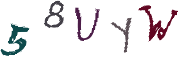 Obrázkové CAPTCHA